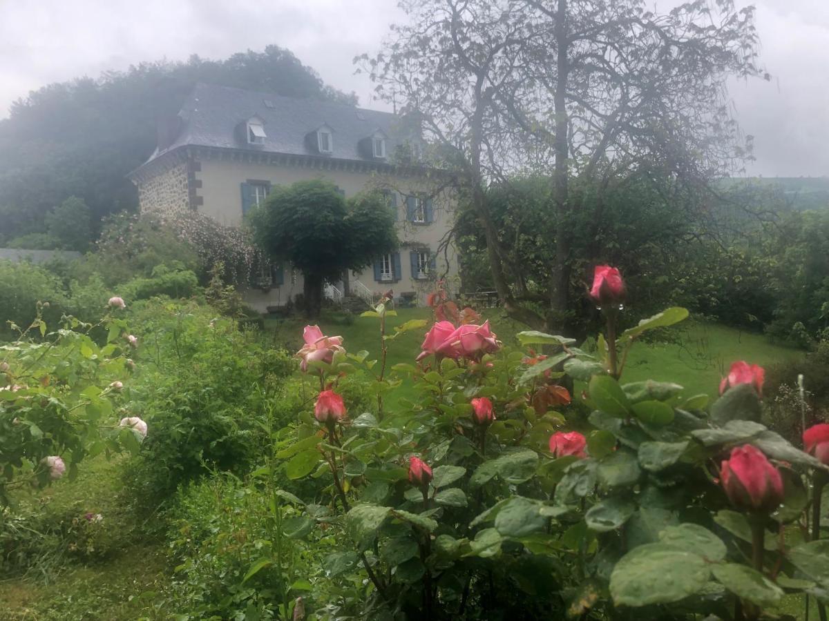 Bed and Breakfast Le Figarelou Thiézac Esterno foto