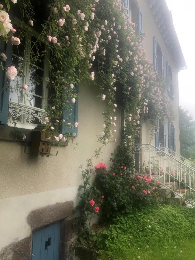 Bed and Breakfast Le Figarelou Thiézac Esterno foto