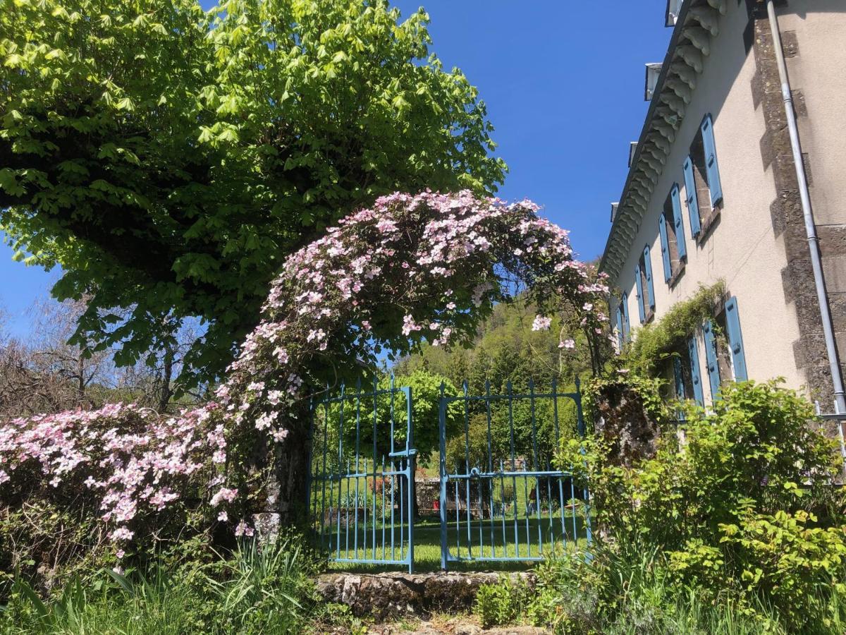 Bed and Breakfast Le Figarelou Thiézac Esterno foto