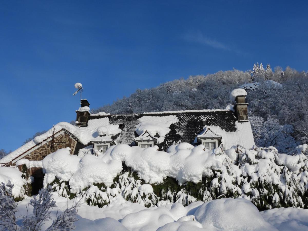 Bed and Breakfast Le Figarelou Thiézac Esterno foto